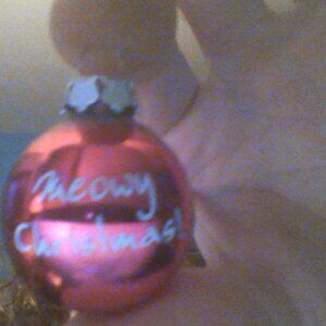 MEOWY CHRISTMAS ORNAMENT IS RED FOR A TREE PLUS +SHIPPING BALL FRAGIL SMALL cat